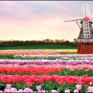 Meet your Posher, Norah